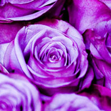 在线DDOS平台攻击