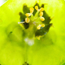 安全交易无忧的怎么ddos攻击游戏服务器